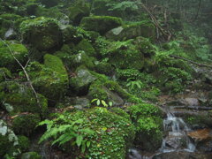 那岐