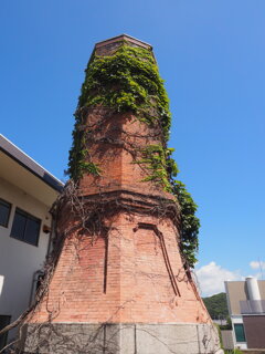 八角