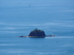 潮流