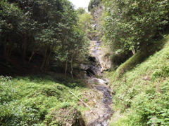 木庭