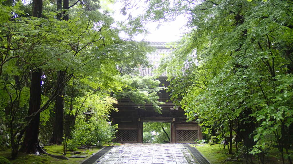 強雨