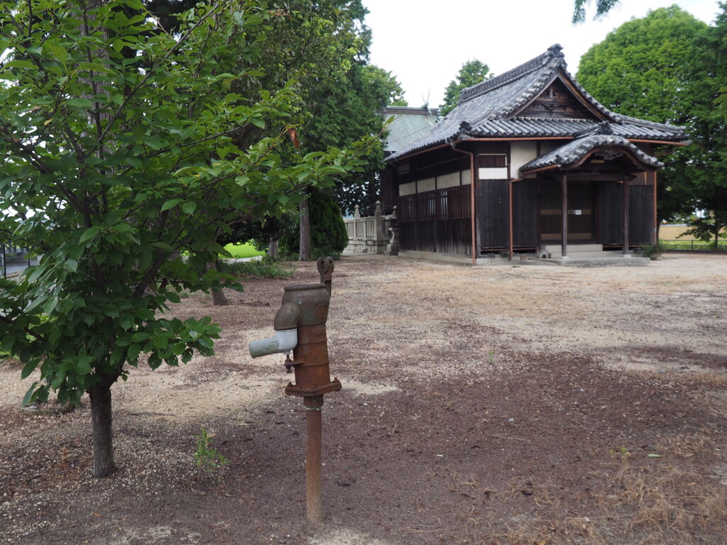 盛夏