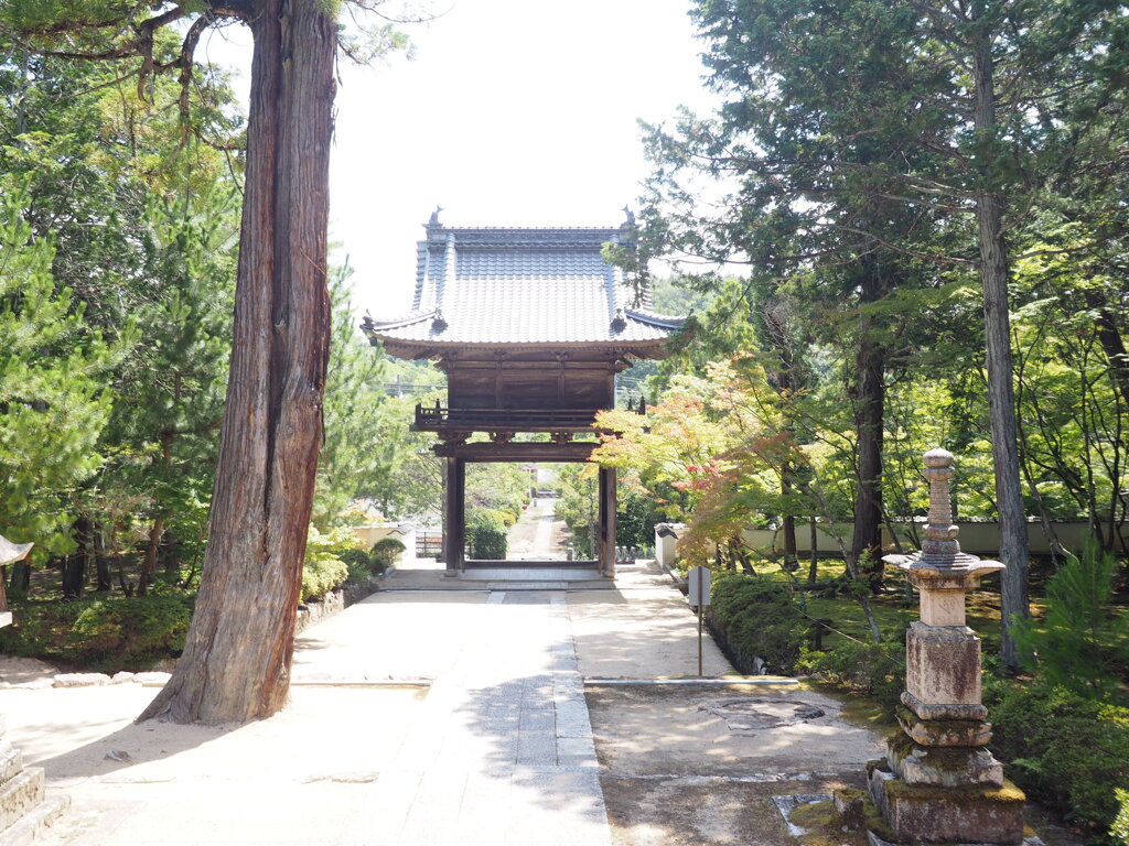 照門