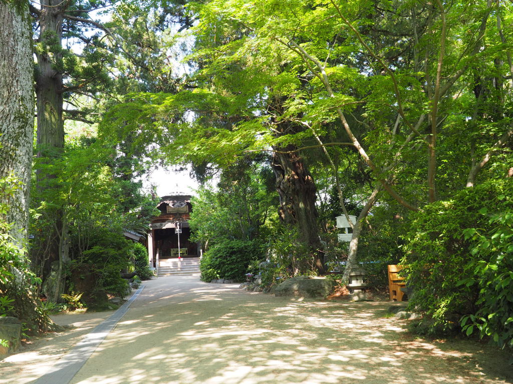 お遍路46番札所「浄瑠璃寺」