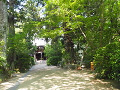 お遍路46番札所「浄瑠璃寺」