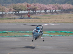 飛立