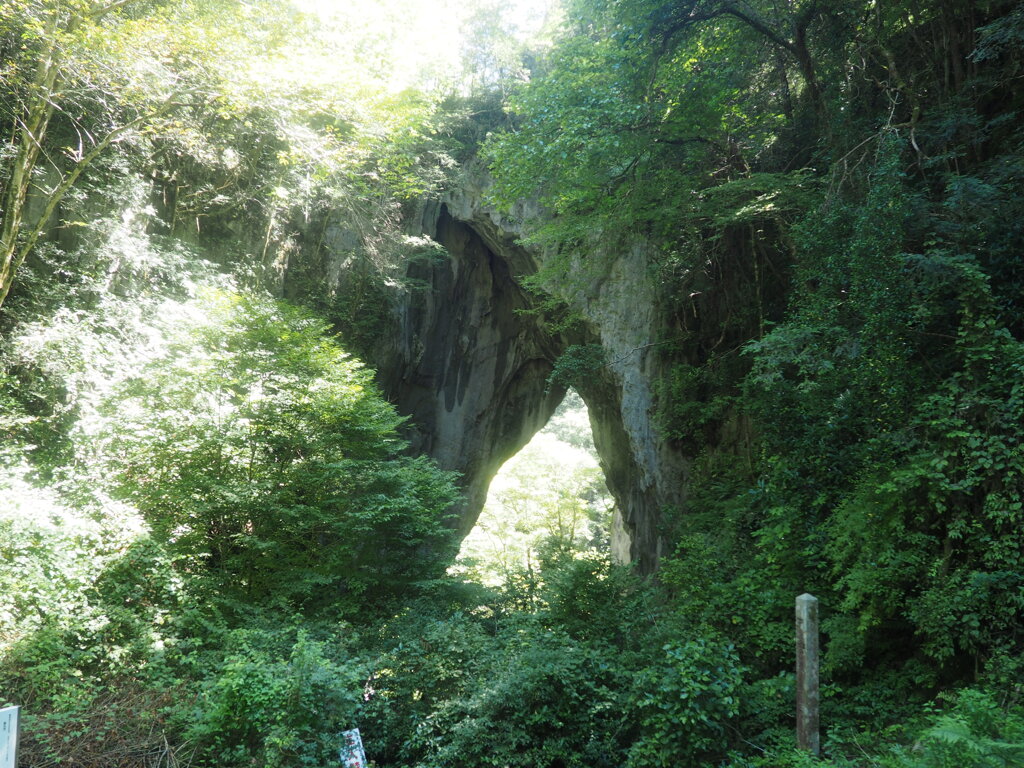羅生