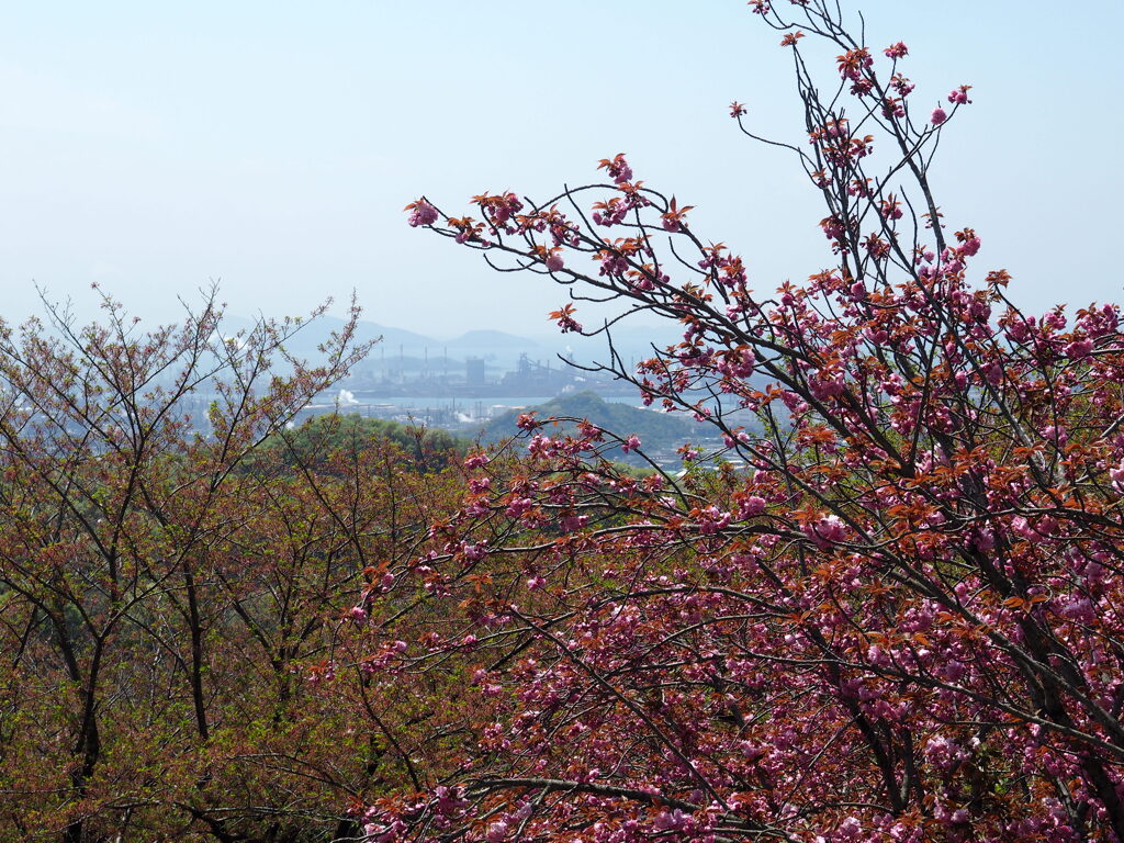 陽春
