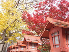 紅黄