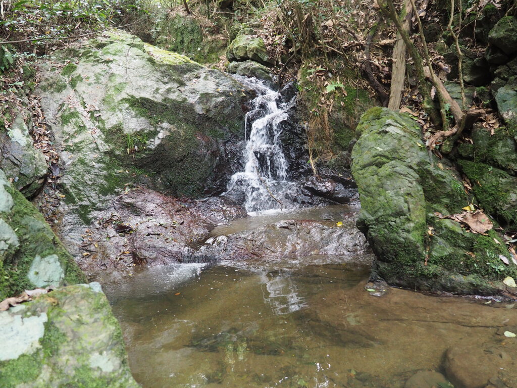 藍坪