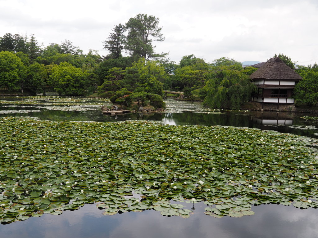 庭園