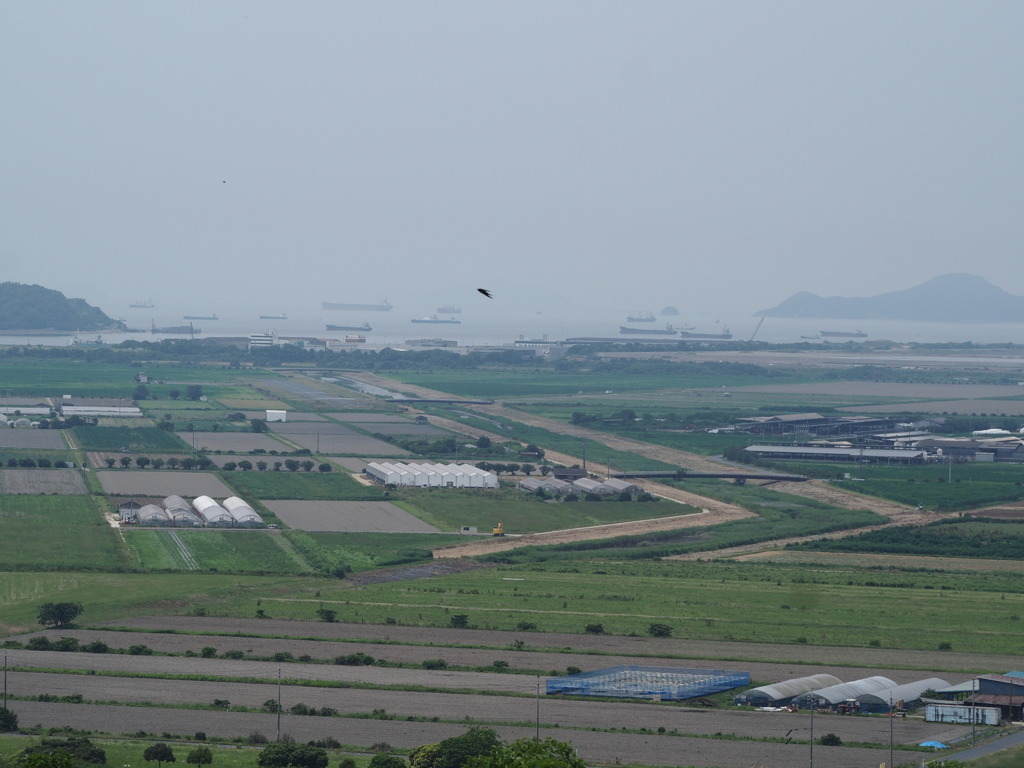 燕飛