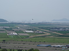 燕飛