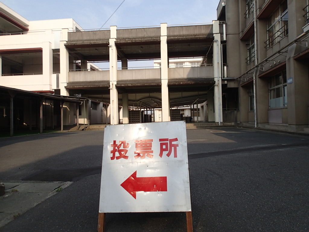 投票