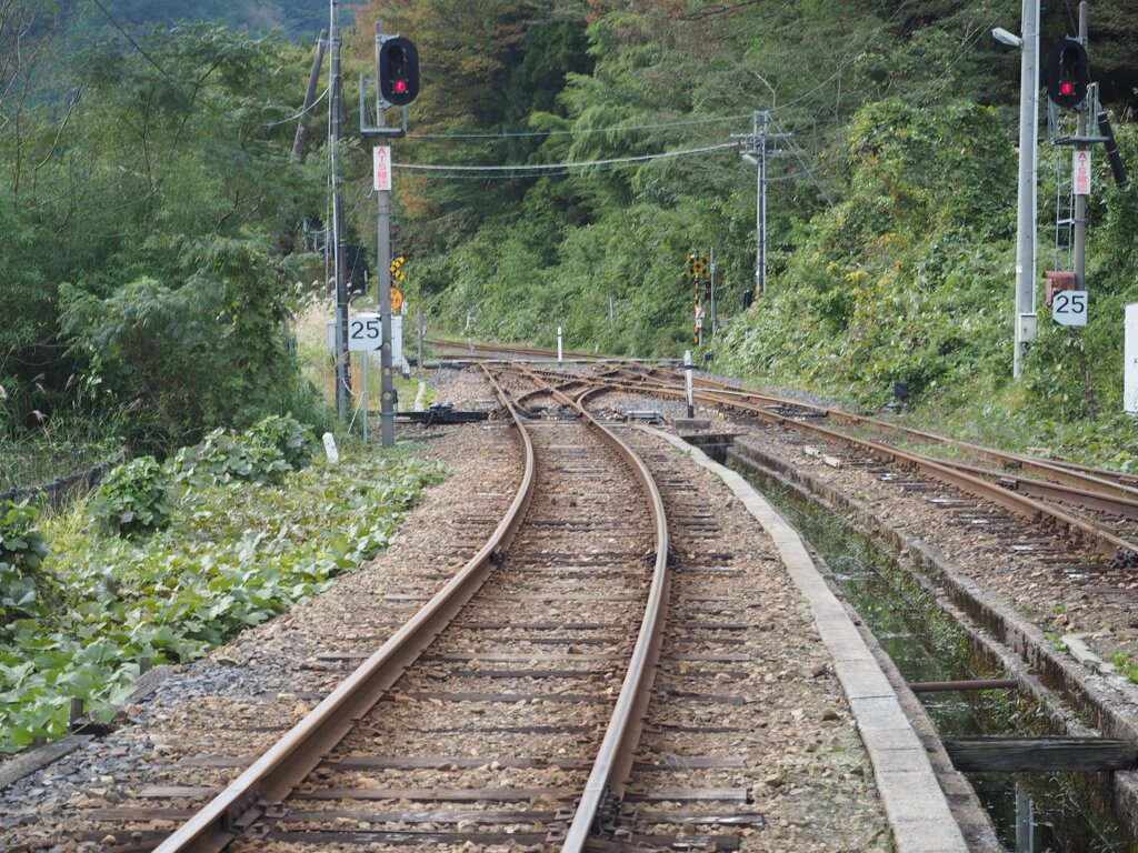 出雲坂根駅・おろち号