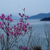 映咲