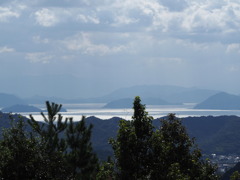 遠海