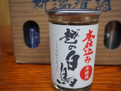 越の白鳥
