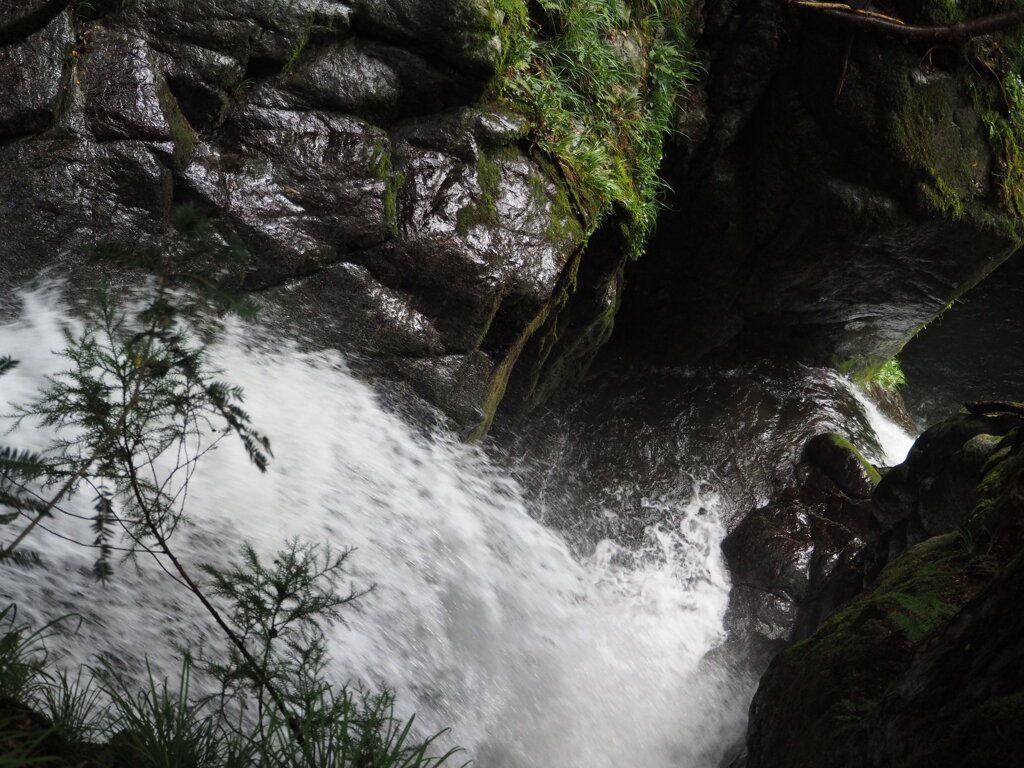 鳴滝