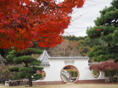 真備