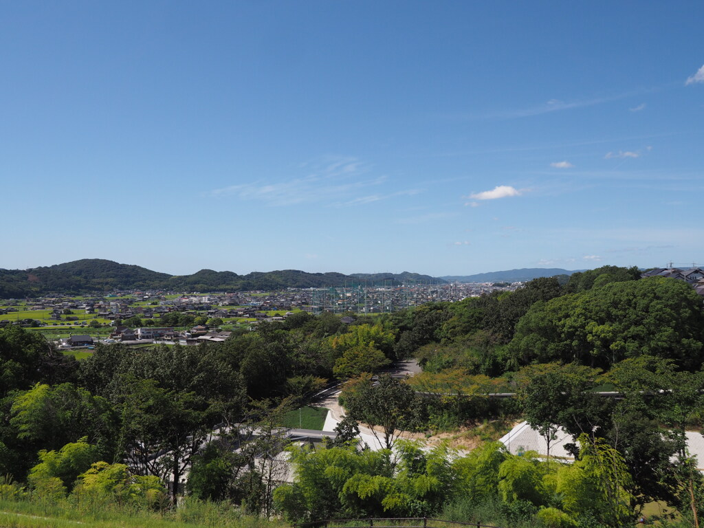一望