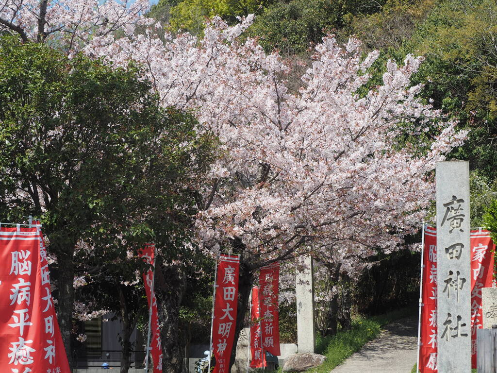 来年