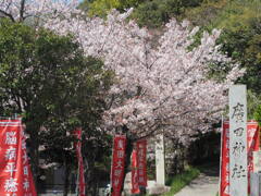 来年