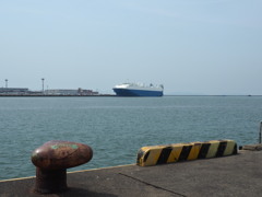 夏港