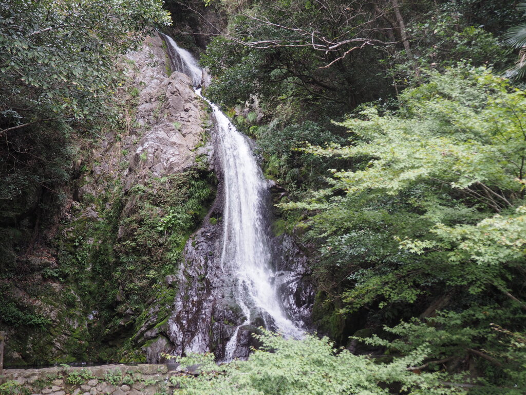 沢柳