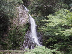 沢柳