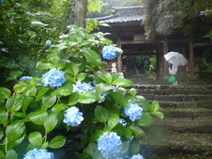 お遍路36番札所「青龍寺」　