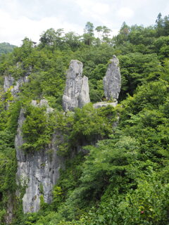 寄添