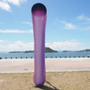 立姿
