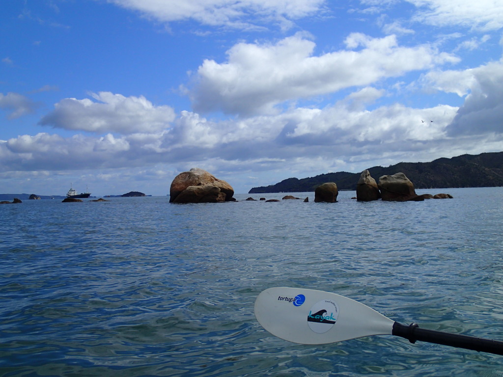 秋海