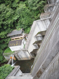 楢井