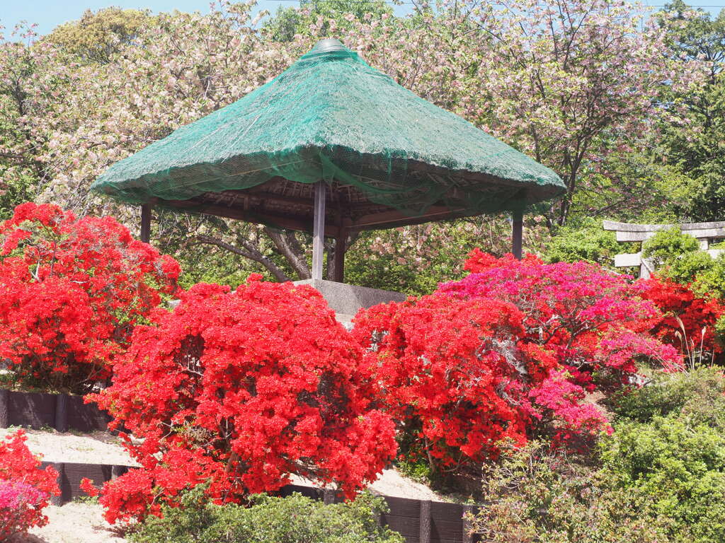 風景