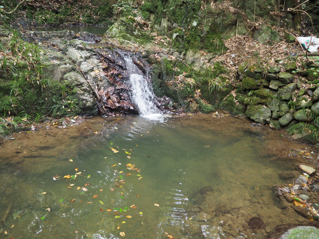 藍坪