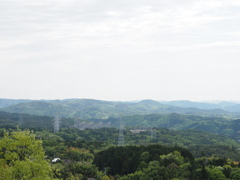 竜天