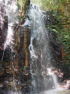 夫婦