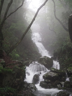 那岐