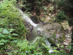 馬渡