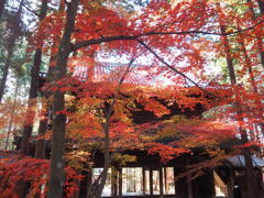 紅包