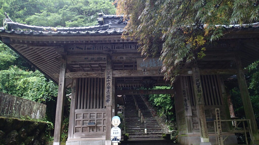 青龍