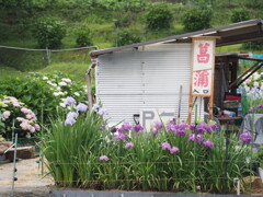 地域