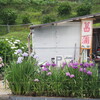 地域