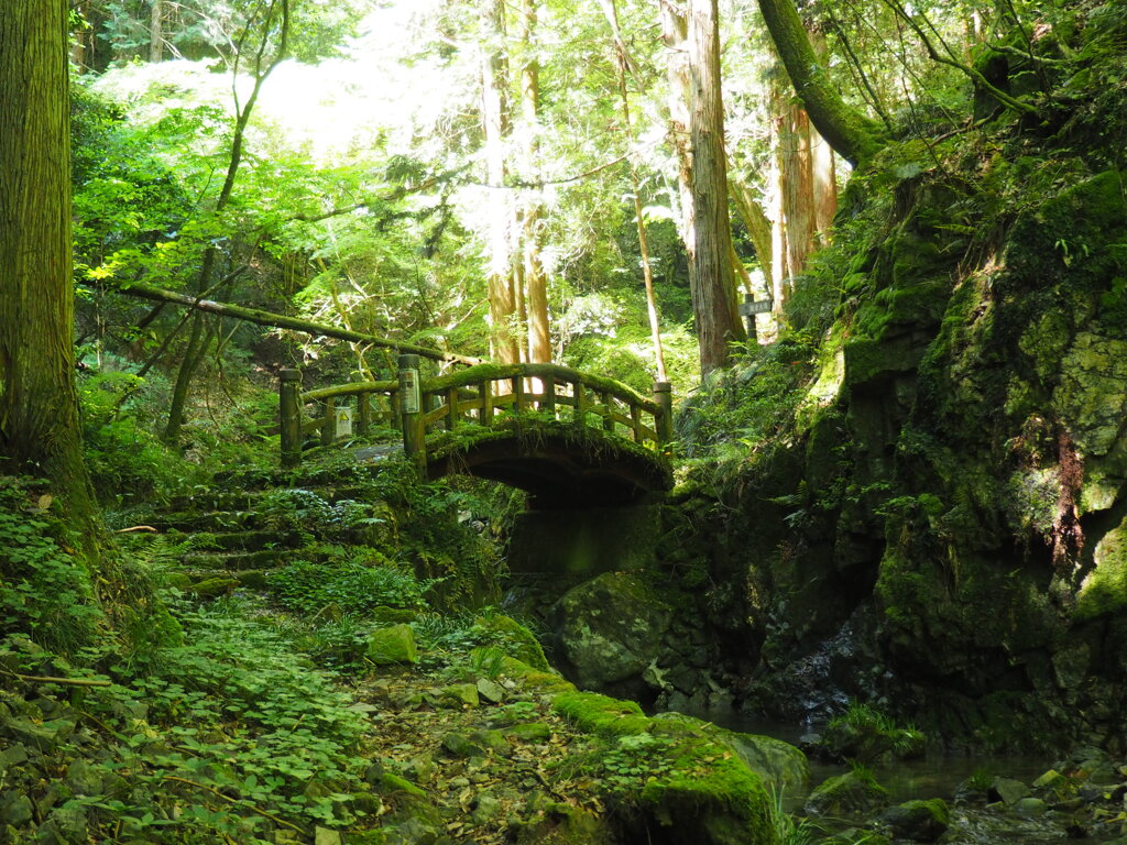 山景