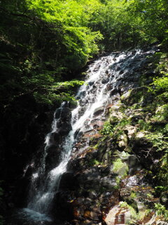布滝