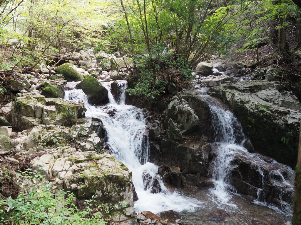 粟倉