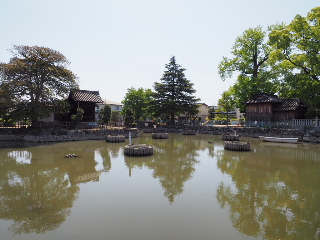 蓮堀