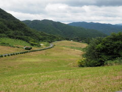 風陵